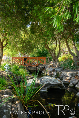 April 2022 / CENT_PARK_220407_237