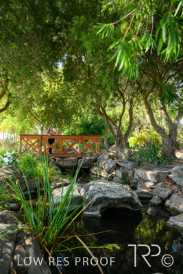 April 2022 / CENT_PARK_220407_238