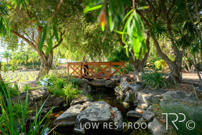 April 2022 / CENT_PARK_220407_241