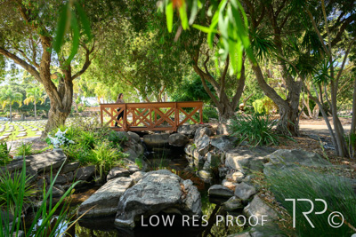 April 2022 / CENT_PARK_220407_242