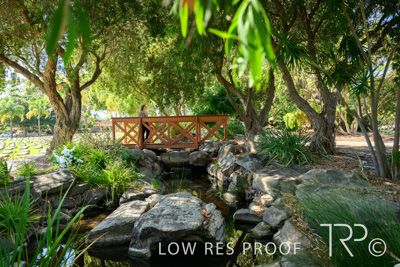 April 2022 / CENT_PARK_220407_243