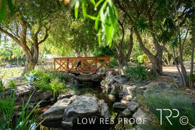 April 2022 / CENT_PARK_220407_244