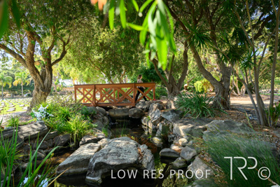 April 2022 / CENT_PARK_220407_245