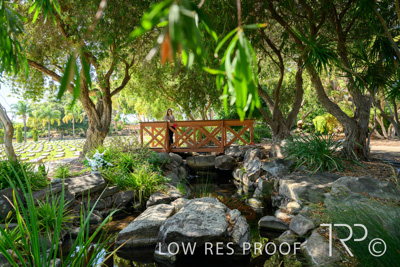 April 2022 / CENT_PARK_220407_246