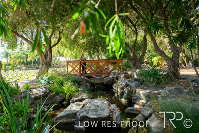 April 2022 / CENT_PARK_220407_247