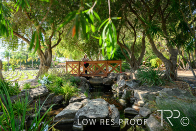 April 2022 / CENT_PARK_220407_248