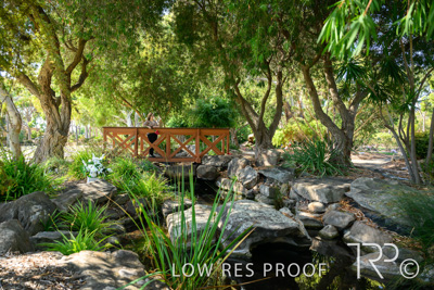 April 2022 / CENT_PARK_220407_249