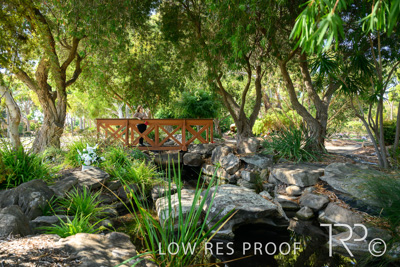 April 2022 / CENT_PARK_220407_250