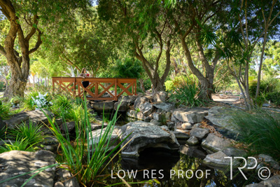 April 2022 / CENT_PARK_220407_252