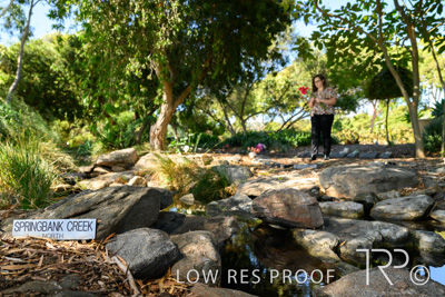 April 2022 / CENT_PARK_220407_254