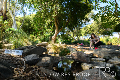 April 2022 / CENT_PARK_220407_257