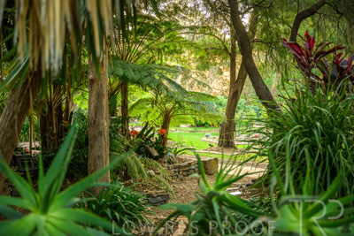 September 2023 / Acacia-Court_230928_Z9C3265