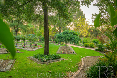 September 2023 / Acacia-Court_230928_Z9C3271