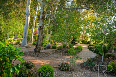 September 2023 / Banksia-Court_230929_Z9C4023