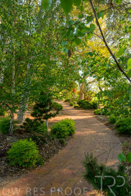 September 2023 / Banksia-Court_230929_Z9C4026