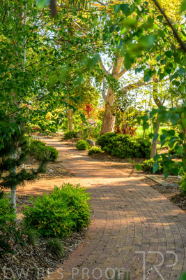 September 2023 / Banksia-Court_230929_Z9C4029