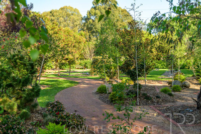 September 2023 / Banksia-Court_230929_Z9C4035