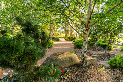 September 2023 / Banksia-Court_230929_Z9C4038