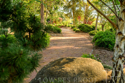 September 2023 / Banksia-Court_230929_Z9C4044