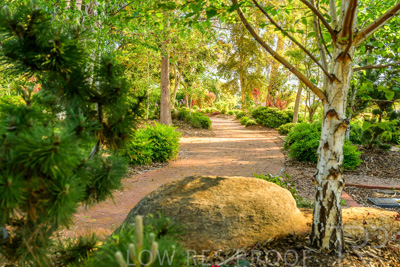 September 2023 / Banksia-Court_230929_Z9C4056