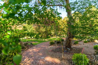 September 2023 / Banksia-Court_230929_Z9C4059