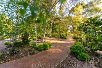 September 2023 / Banksia-Court_230929_Z9C4062