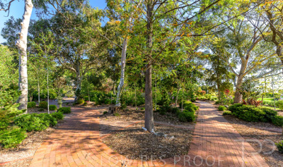 September 2023 / Banksia-Court_230929_Z9C4068