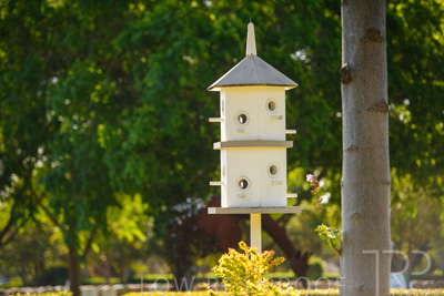 September 2023 / Bird-Hotel_230928_85E1850