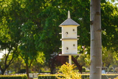 September 2023 / Bird-Hotel_230928_85E1853