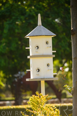 September 2023 / Bird-Hotel_230928_85E1856
