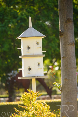 September 2023 / Bird-Hotel_230928_85E1858