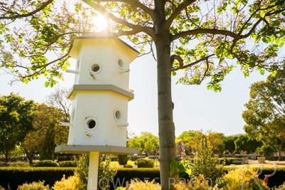 October 2023 / Bird-Hotel_231011_Z9C9942