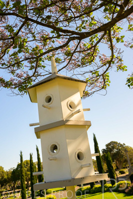 October 2023 / Bird-Hotel_231011_Z9C9992