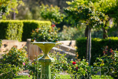 September 2023 / Charles-Newman-Fountain_230928_85E1897