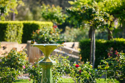 September 2023 / Charles-Newman-Fountain_230928_85E1904