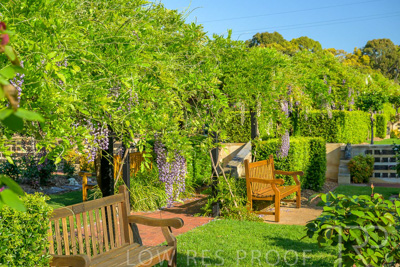 September 2023 / Charles-Newman-Wisteria_230928_Z9C2303