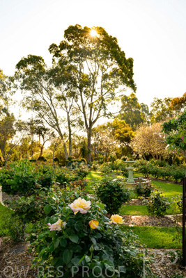 September 2023 / Charles-Newman_230928_Z9C2344