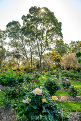 September 2023 / Charles-Newman_230928_Z9C2347