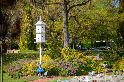 September 2023 / Childrens-Garden_230928_85E1819