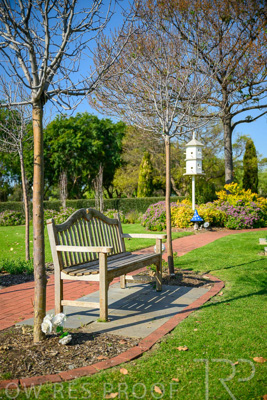 September 2023 / Childrens-Garden_230928_Z9C2201