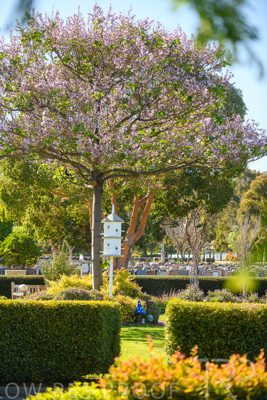 October 2023 / Childrens-Garden_231011_85E2801