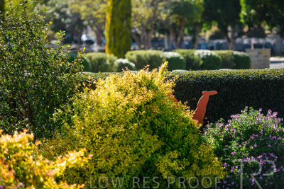 October 2023 / Childrens-Garden_231011_85E2807