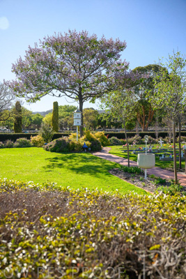 October 2023 / Childrens-Garden_231011_Z9C9894