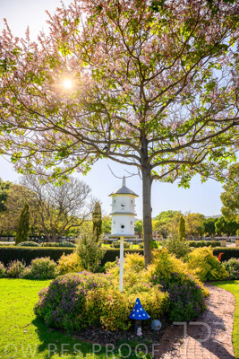 October 2023 / Childrens-Garden_231011_Z9C9929