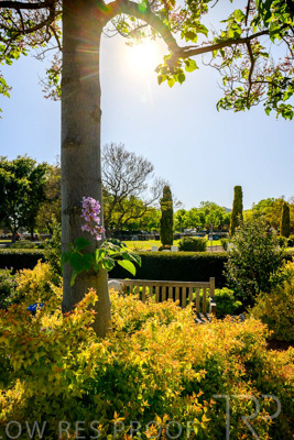 October 2023 / Childrens-Garden_231011_Z9C9959