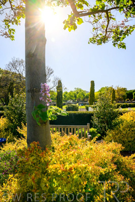 October 2023 / Childrens-Garden_231011_Z9C9974