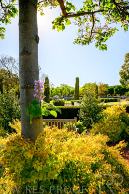 October 2023 / Childrens-Garden_231011_Z9C9979