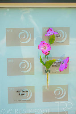 December 2023 / Contemplation-Court_231205_Z9E2579