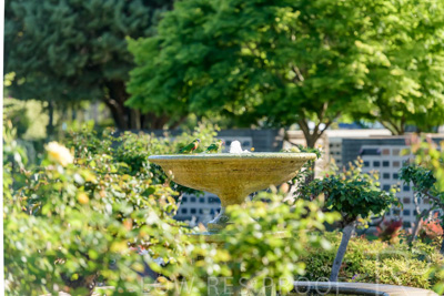 September 2023 / East-Fountain-1_230929_85E2552