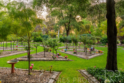 September 2023 / Erica-Court_230928_Z9C3276